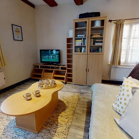 Apartment Aux Bijoux De - 1 Parking Gratuit Colmar